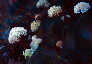 Au clair de la lune, 2019