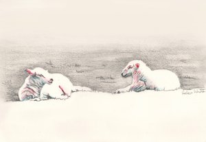 Sieste, 2016 - Helen White