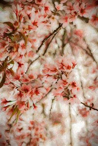 Orientalis - Helen White