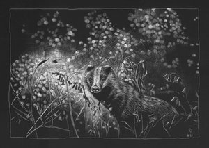 Blaireau de printemps, 2023 - Helen White