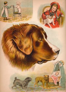 Le Chien, c1900