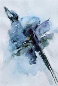  - Helena Ryhle