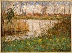 Eaux dormantes au début du printemps