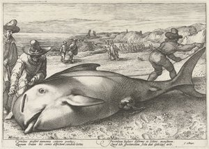 Baleine échouée sur la plage de Zandvoort, 1594
