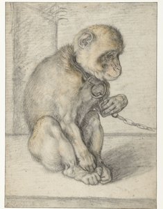 Singe assis enchaîné - Hendrick Goltzius