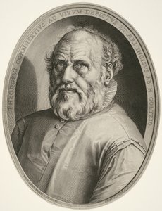 Dirck Volckertsz. Coornhert (sans cadre)