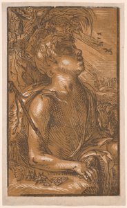 Saint Jean Baptiste - Hendrick Goltzius