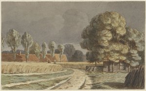 Champ de blé entre des maisons sous un ciel orageux à Hilversum