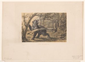 Ours dans un piège - Hendrik Adriaan Christiaan Dekker