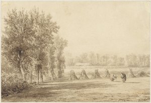 Champ de blé