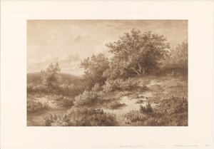 Paysage avec ruisseau et buissons - Hendrik Dirk Kruseman van Elten