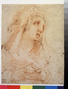  - Hendrik Goltzius