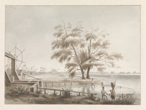 Vue d