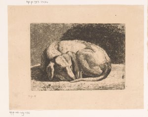 Chien endormi