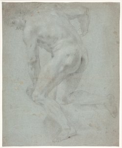 Étude de modèle masculin - Hendrik Krock
