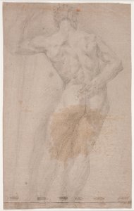 Étude de modèle masculin vu de dos