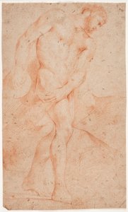 Étude de modèle masculin, debout