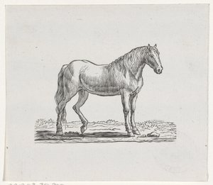 Cheval