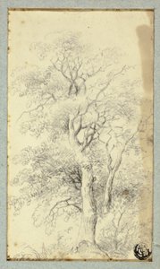 Arbre - Hendrik Pieter Koekkoek