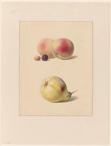 Pêche, mûre et noisette et une poire - Hendrik Reekers