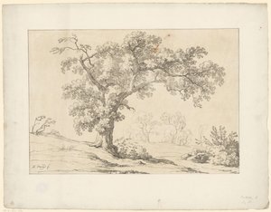 Arbre dans un paysage - Hendrik Voogd