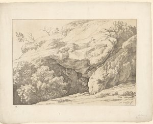 Rochers avec des buissons - Hendrik Voogd