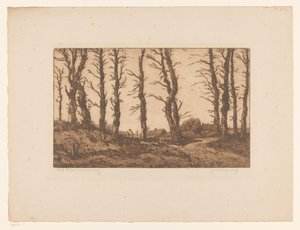 Oud Blaricummerweg - Hendrik Weegewijs (signed by artist)