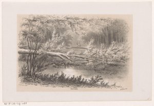 Arbre renversé, après la tempête du 28 mai 1860