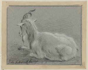 Chèvre couchée - Hendrik Willem Schweickhardt (signed by artist)