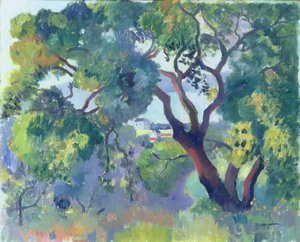 Paysage à Saint-Tropez