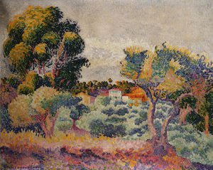 Eucalyptus et oliveraie