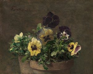 Pensées en pot, 1883