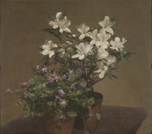 Violettes et azalées