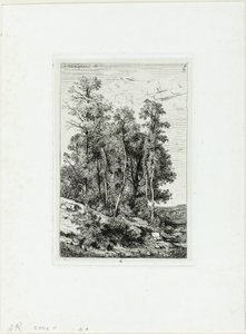 Bouleaux et chênes - Henri Joseph Harpignies