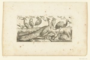 Dix-neuf oiseaux - Henri Le Roy