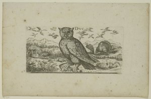Hibou et autres oiseaux - Henri Le Roy