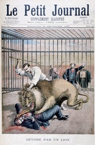 Attaque de lion, 1895