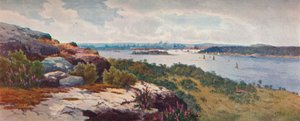 Sydney depuis Vaucluse, vers 1906