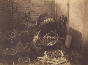 [Nature morte avec paniers de paille, balai, sac de pommes de terre ouvert et plantes en pot].