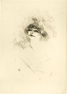 Polaire
