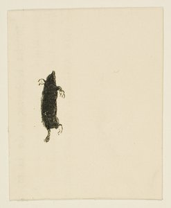 Cul-de-lampe de Au Pied du Sinaï - Henri de Toulouse-Lautrec