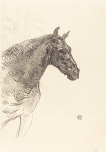 Le vieux cheval