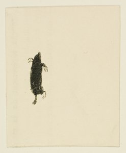 Cul-de-lampe de Au Pied du Sinaï
