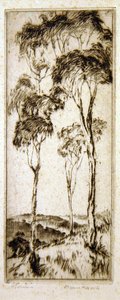 Eucalyptus - Henri van Raalte