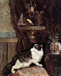 Chat espionnant un oiseau en cage - par Henriette Ronner