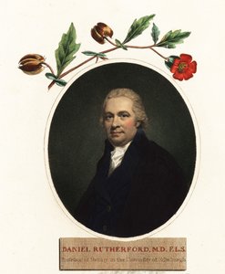 Portrait de Daniel Rutherford, botaniste (gravure) - Henry (after) Raeburn