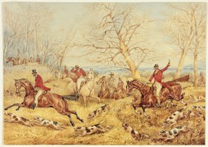 Chasse au renard