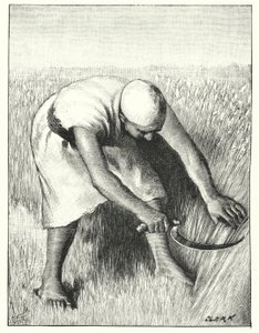Moisson en Orient - Henry Andrew Harper