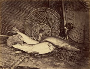 Nature morte à la carpe et au brochet - Henry Bailey