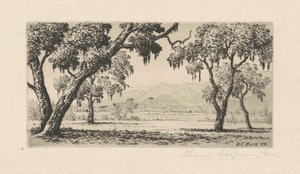 Paysage de Californie